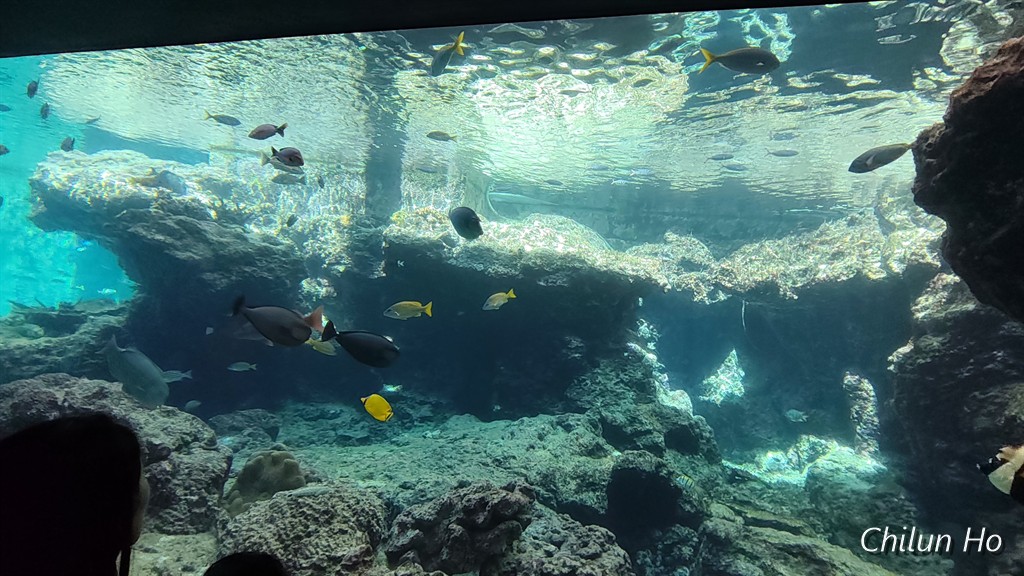 沖縄美ら海水族館